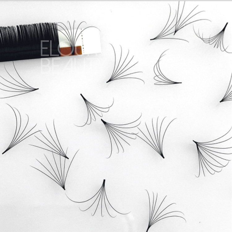 Easy fan eyelash extensions fans volume blooming eyelashes customized long lasting curl EN06