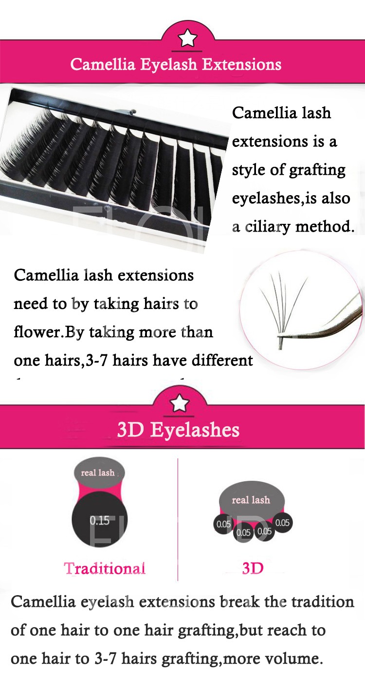 newest volume camellia eyelash extensions China vendor.jpg