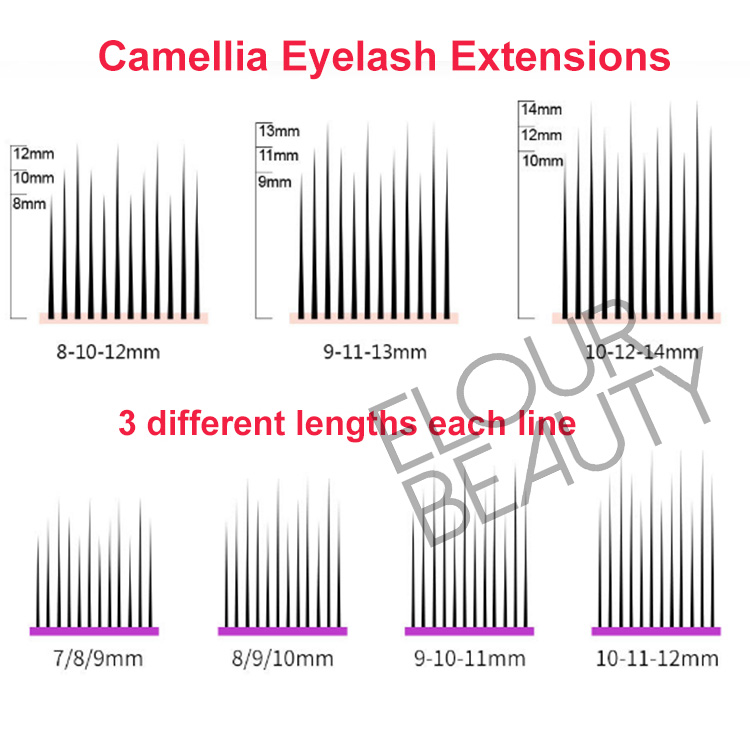 wholesale-camellia-eyelash-extensios-supplier.jpg