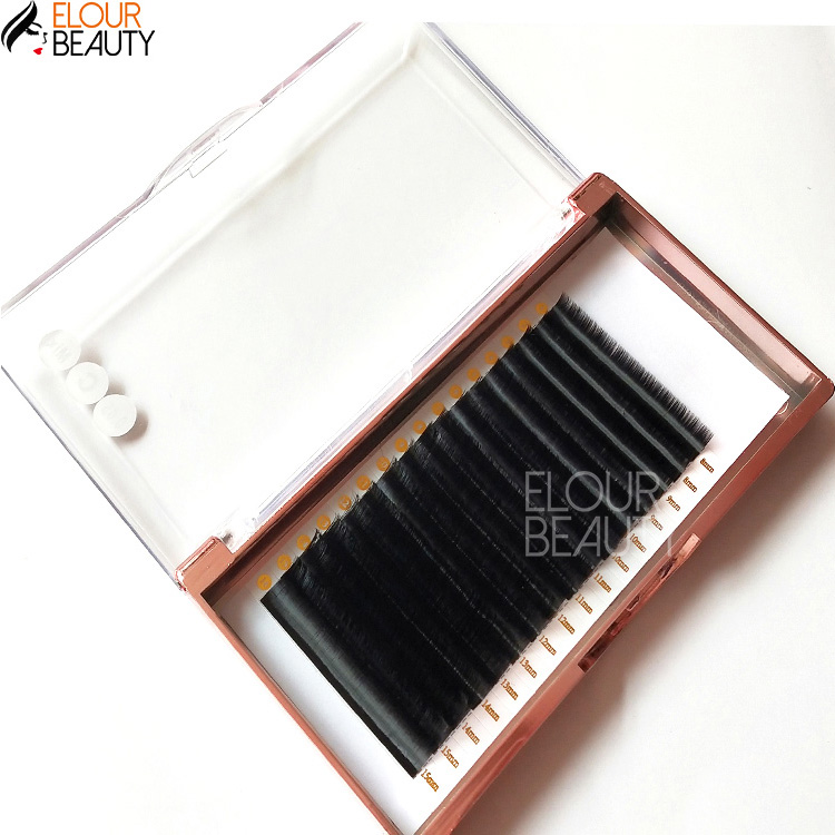 Lashbeauty private label silk individual eyelash extensions EY20