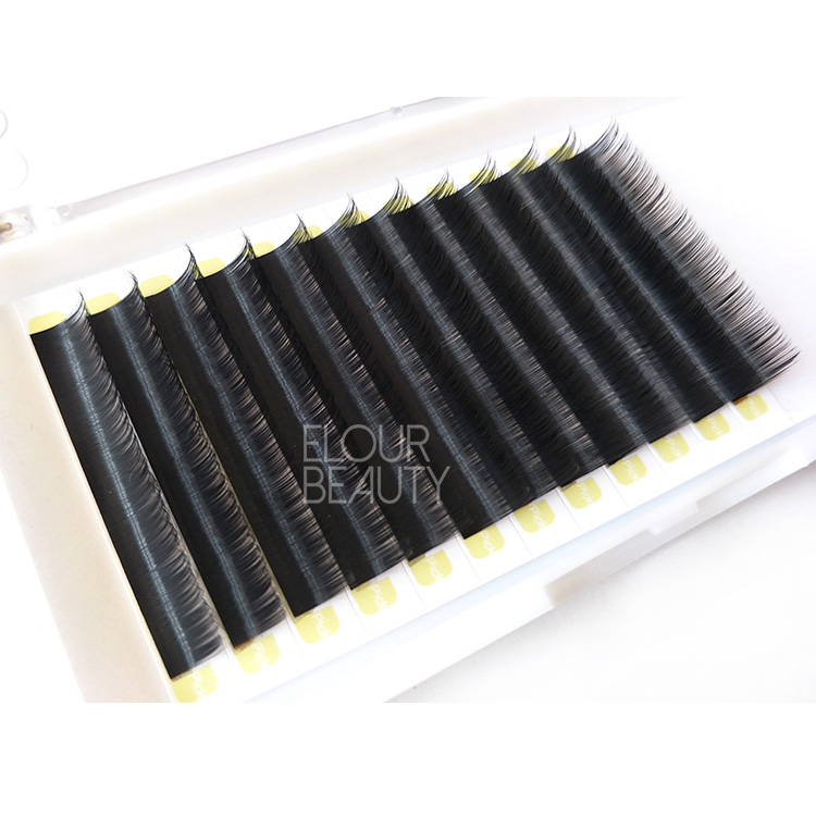 Wholesale soft light weight volume camelia eyelash extensions supplier EY01