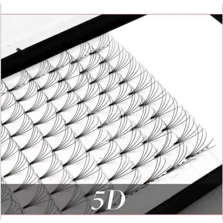 Brand your own lash extensions 2D 3D 4D 5D 6D 10D premade self fans wholesale distributor EN12