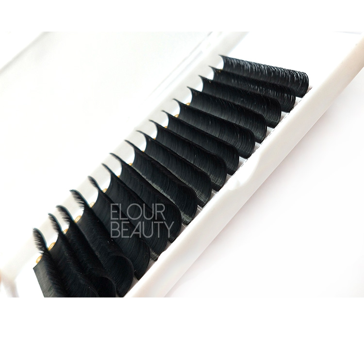 Private label china blooming easy fanning extension lash manufacturers EY06