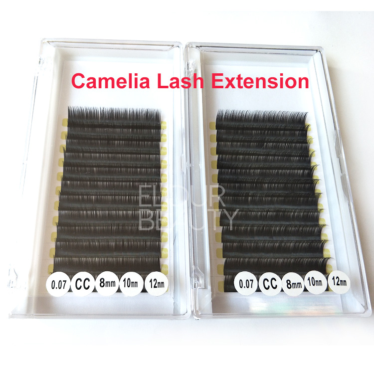 Wholesale soft light weight volume camelia eyelash extensions supplier EY01