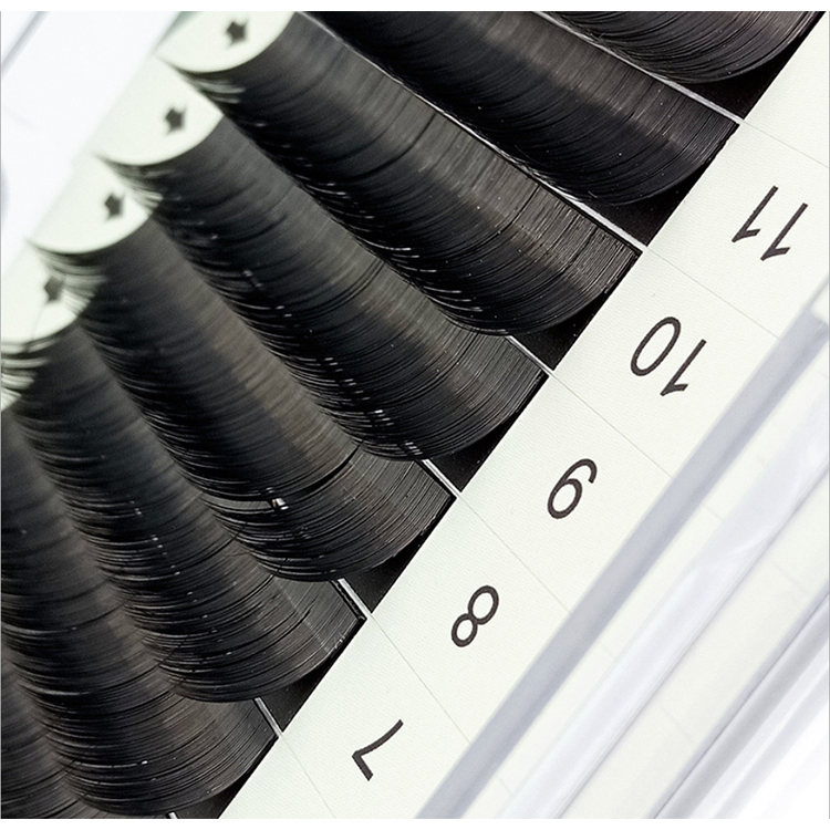 Customize ellipse flat eyelash extension wholesale distributor EN23