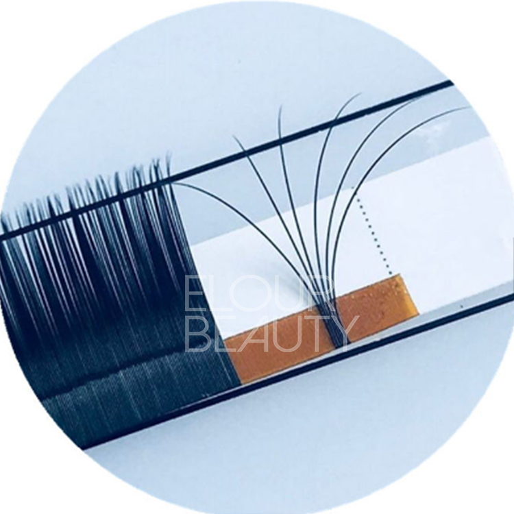 ملحقات رموش Elourlash Auto Easy Fan بملصق خاص للبيع بالجملة EY13