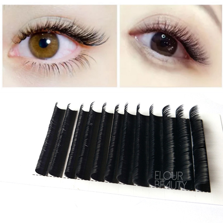 Split tip matte flat ellipse cashmere eyelash extensions private label EY25