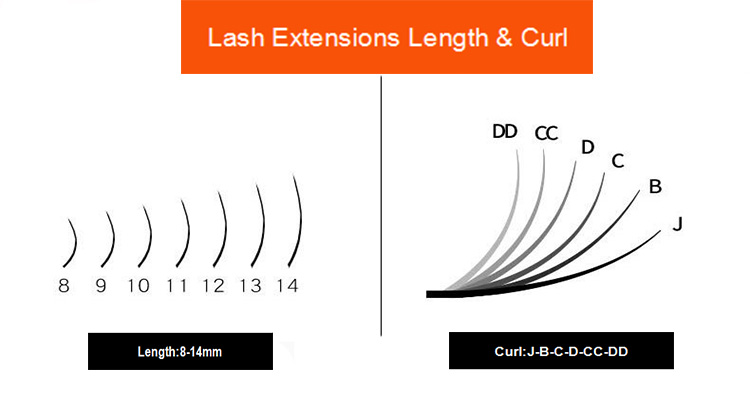 eyelash-extensions-curl-length.jpg