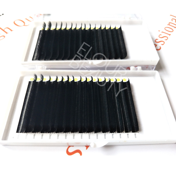 private-label-eyelash-extension-products.jpg