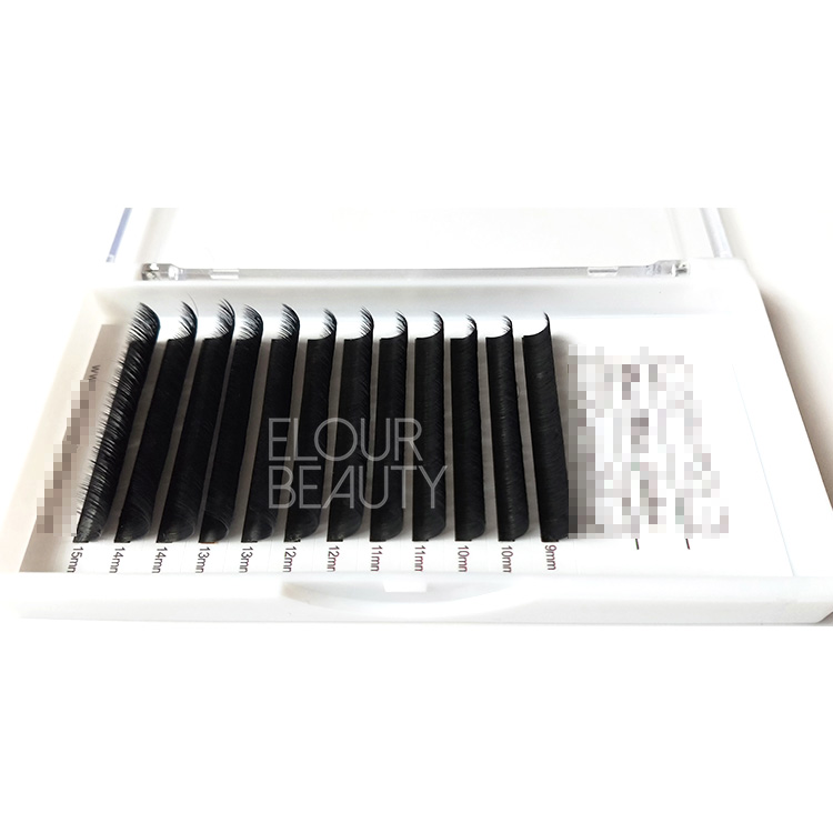 eyelash-extensions-wholesale-korean.jpg