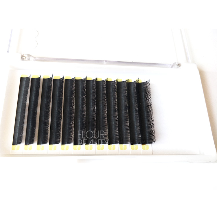 eyelash-extensions-wholesale-korean.jpg