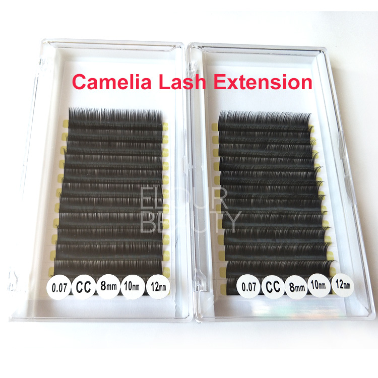 camelia-eyelash-extensions.jpg