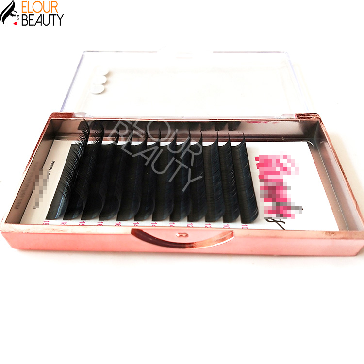 eyelash-extensions-wholesale-supplies.jpg