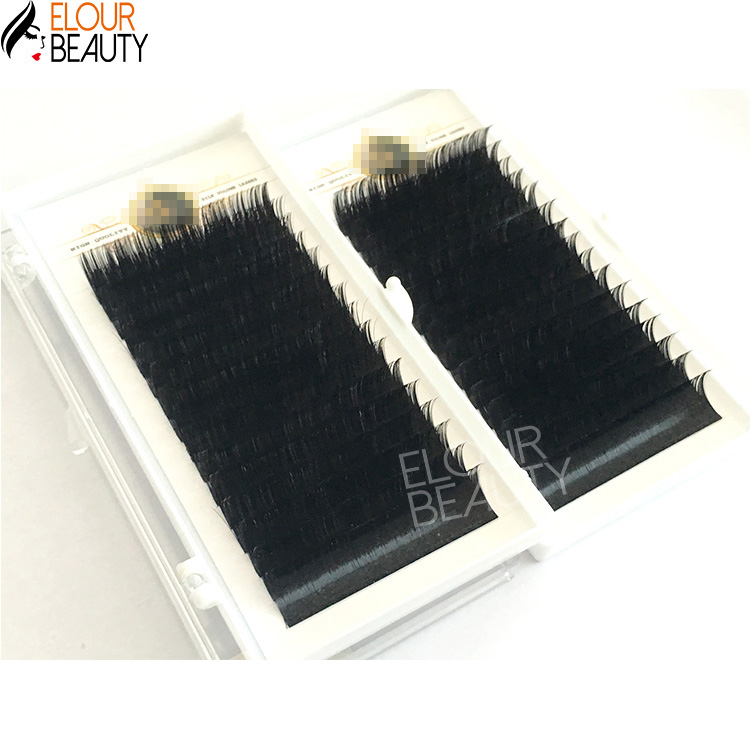 elourlashes-eyelash-extensions-wholesale.jpg