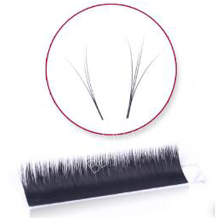 signature-rapid-volume-lashes.jpg