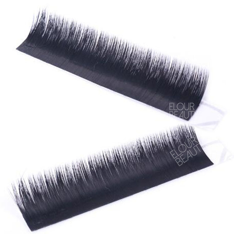 volume-easy-fan-lash-extensions.jpg