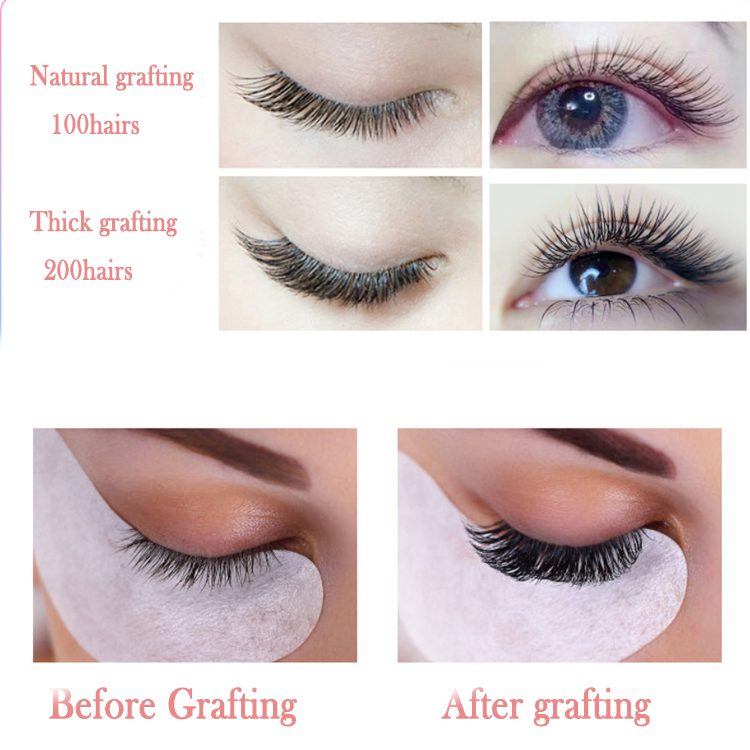 ellipse-flat-lash-extension-wholesale-supplier.jpg