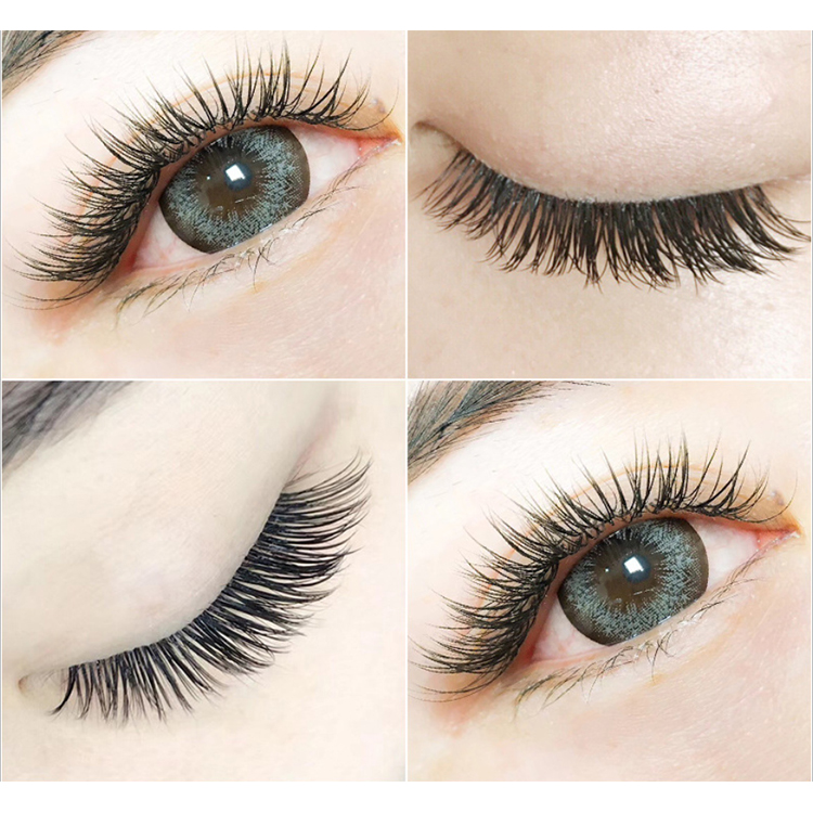 ellipse-flat-lash-extension-wholesale.jpg