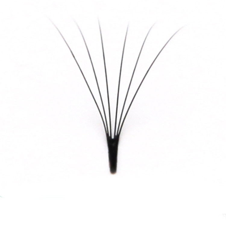 6D-premade-fans-eyelash-extensions-wholesale.jpg