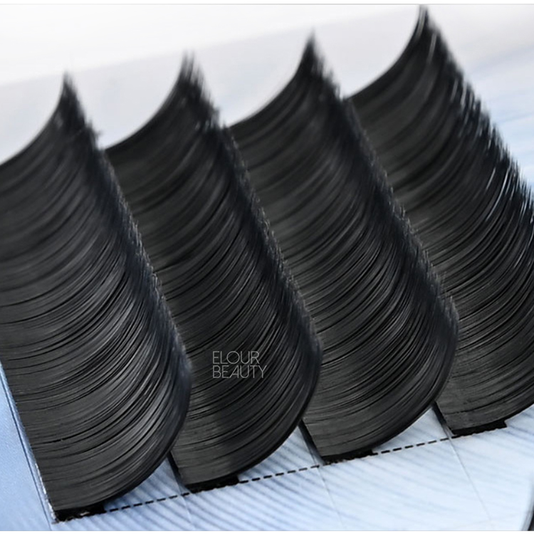 auto-fans-eyelash-extension-wholesale-distributor.jpg