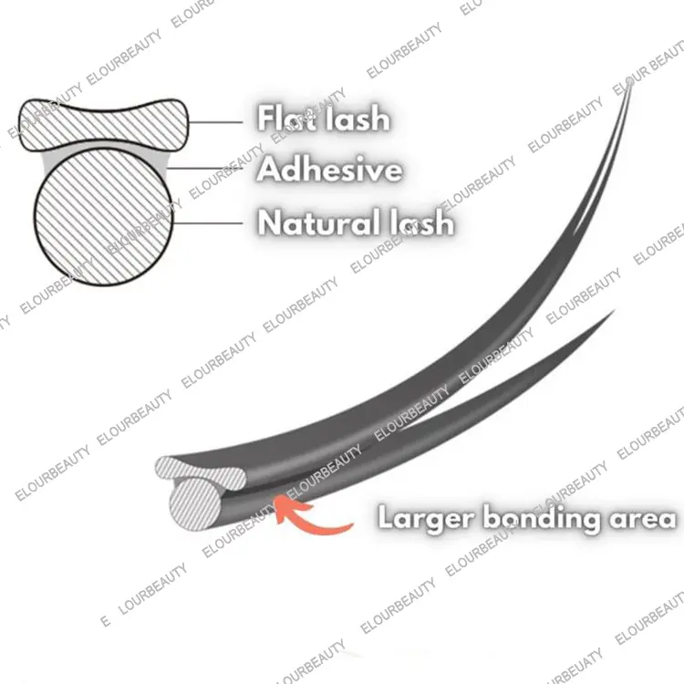 flat-lashes-larger-bonding-area.webp