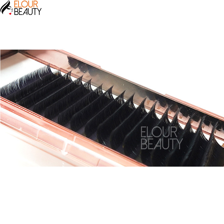 Lashbeauty private label silk individual eyelash extensions EY20
