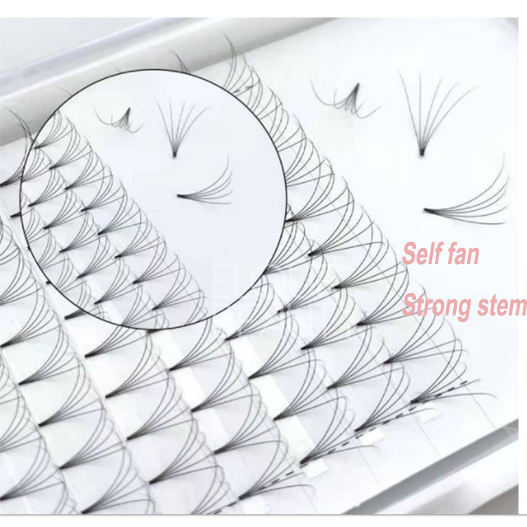 Brand your own lash extensions 2D 3D 4D 5D 6D 10D premade self fans wholesale distributor EN12