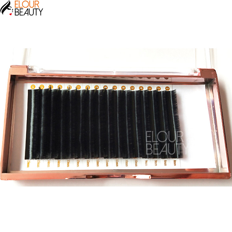 Lashbeauty private label silk individual eyelash extensions EY20