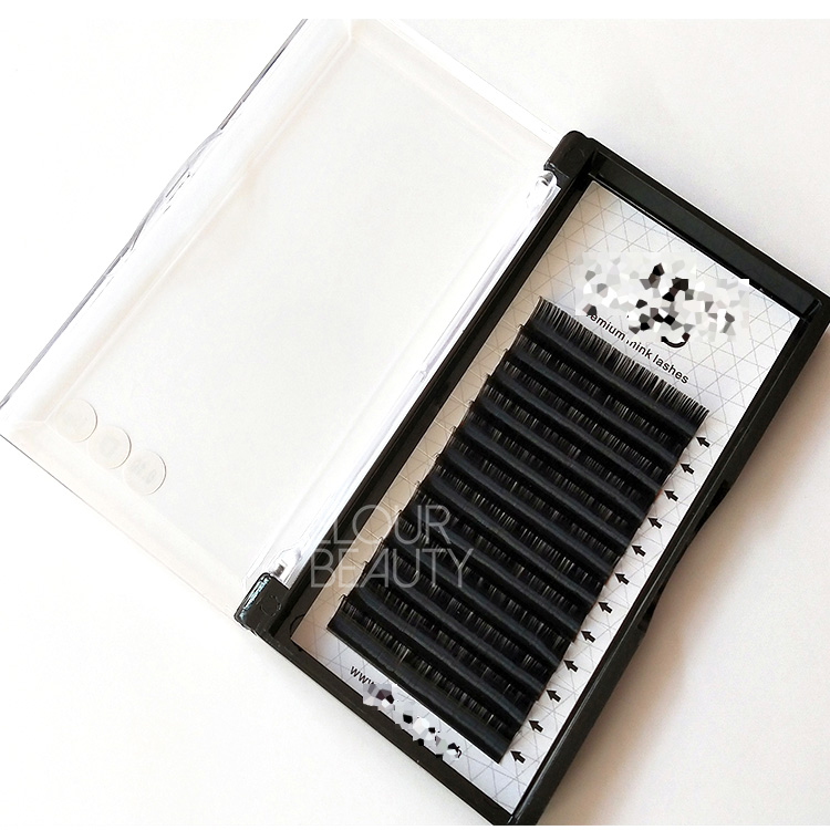 Lashbeauty volume 3D Korean mink eyelash extensions wholesale EL131