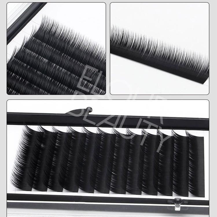 Private label easy fan camelia eyelash extensions China EL100