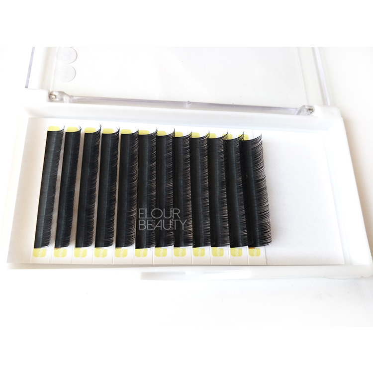 Wholesale soft light weight volume camelia eyelash extensions supplier EY01